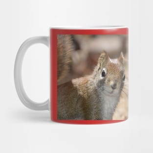 Squrrel Face Mug